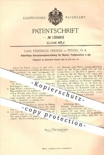 original Patent - Carl Friedrich Greiner , Penzig , 1901 , Selbsttätige Bewässerung für Blumen & Pflanzen , Topfpflanzen