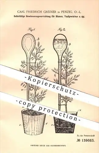 original Patent - Carl Friedrich Greiner , Penzig , 1901 , Selbsttätige Bewässerung für Blumen & Pflanzen , Topfpflanzen