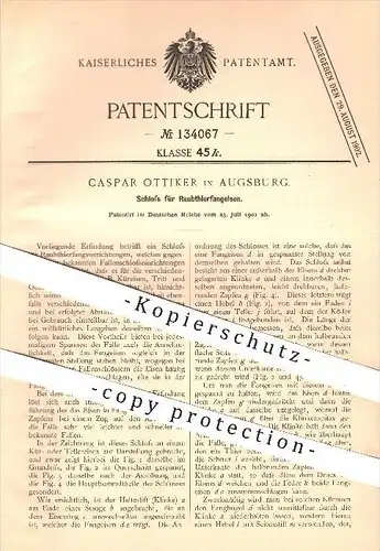 original Patent - Caspar Ottiker in Augsburg , 1901 , Schloss für Raubtierfangeisen , Raubtiere , Tier , Jäger , Falle !