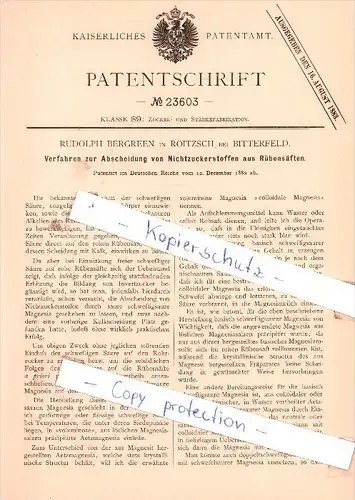 Original Patent - R. Bergreen in Roitzsch bei Bitterfeld , 1882 , Zuckerfabrikation !!!