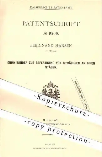 original Patent - Ferdinand Hansen in Sulza , 1879 , Gummiband zur Befestigung von Gewächsen , Gärtner , Landwirtschaft