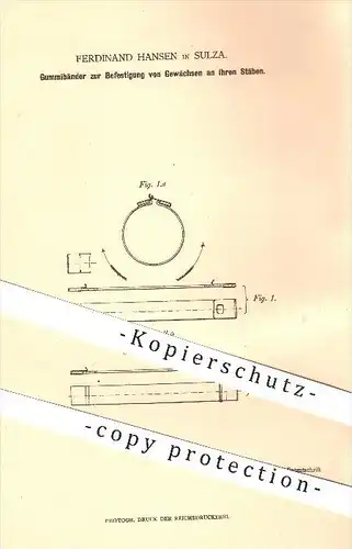 original Patent - Ferdinand Hansen in Sulza , 1879 , Gummiband zur Befestigung von Gewächsen , Gärtner , Landwirtschaft