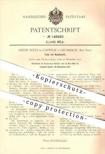 original Patent - Jakob Altes , Kappeln bei Grumbach , Trier , 1903 , Falle für Maulwürfe , Maulwurf , Tierfalle , Tiere