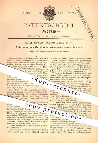 original Patent - Dr. Albert Scholvien in Halle a. S. , 1883 , Reinigung von Melassekalklösungen durch Osmose , Zucker !