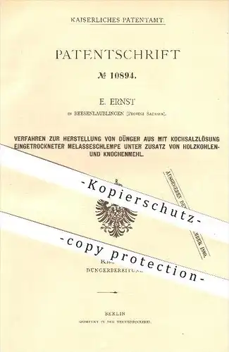 original Patent - E. Ernst in Beesenlaublingen b. Könnern ,1879 ,Herstellung von Dünger , Kali , Stickstoff, Knochenmehl