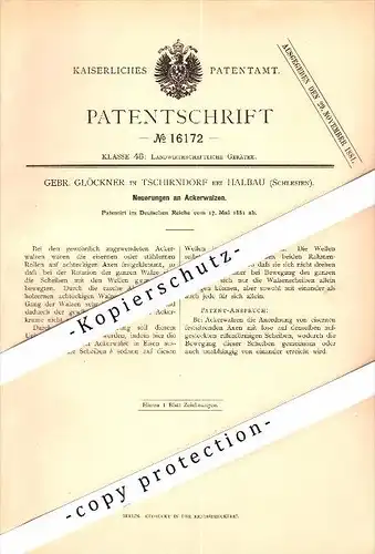 Original Patent - G. Glöckner , Eisenhüttenwerk in Tschirndorf bei Halbau / Ilowa , 1881, Ackerwalzen , Agar , Schlesien