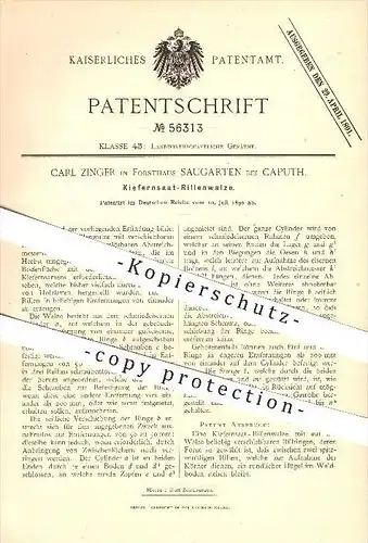 original Patent - Carl Zwinger in Forsthaus Saugarten bei Caputh , 1890 , Kiefernsaat - Rillenwalze , Saat , Walze !!!