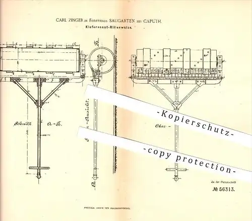 original Patent - Carl Zwinger in Forsthaus Saugarten bei Caputh , 1890 , Kiefernsaat - Rillenwalze , Saat , Walze !!!