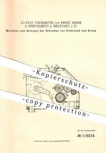 original Patent - G. Thormeyer u. E. Hesse in Spiegelberg b. Neustadt a. D. , 1900 , Maschine zum Reinigen von Getreide