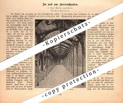 original Zeitungsbericht - 1905 - In und um Herrenhausen b. Hannover !!!