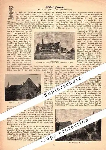 original Zeitungsbericht - 1905 - Kloster Loccum ,  Rehburg-Loccum !!!