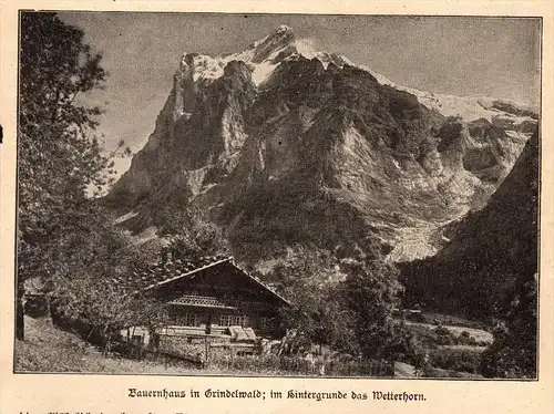 original Zeitungsausschnitt - 1911 - Bauernhaus in Rohrmoos und Grindelwald !!!