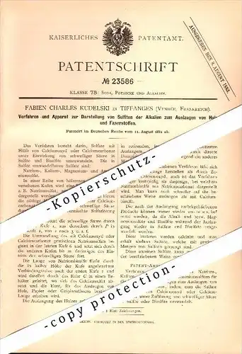 Original Patent - F.C. Kudelski à Tiffauges / Vendée , 1882 , Appareil pour Lessives résiduaires de bois !!!