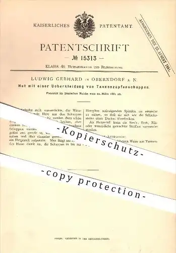 original Patent - Ludwig Gebhard in Oberndorf a. N. , 1881 , Hut mit einer Überkleidung von Tannenzapfenschuppen !!!