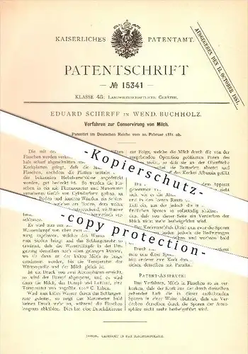 original Patent - Eduard Scherff in Wendisch Buchholz , 1881 , Konservierung von Milch , Märkisch Buchholz