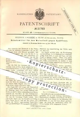 original Patent -  Auguste Lagarde in Setif , Algier , 1882 , Schutz für Weinstock , Wein , Vino !!!