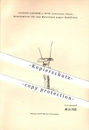 original Patent -  Auguste Lagarde in Setif , Algier , 1882 , Schutz für Weinstock , Wein , Vino !!!