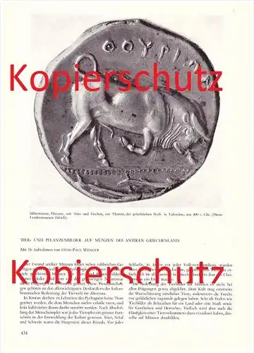 original Zeitungsbericht - 1959 - Münzen des Antiken Griechenland , Silbermünze , Distater , Tier- und Pflanzenbilder !!
