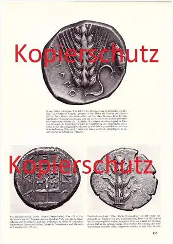 original Zeitungsbericht - 1959 - Münzen des Antiken Griechenland , Silbermünze , Distater , Tier- und Pflanzenbilder !!