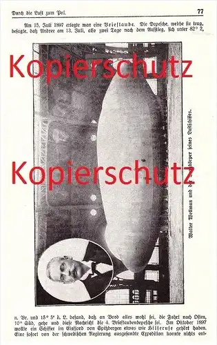 original Zeitungsbericht - 1911 - Flug zum Pol , Nordpol , Andree , Luftschiff , Wellmann Däneninsel , Polarforscher !!!