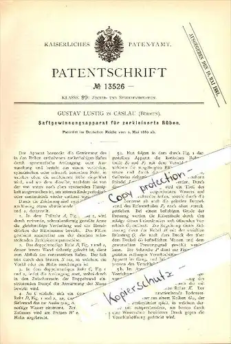 Original Patent - Gustav Lustig in Caslau / Cáslav , 1880 , Saft-Gewinnungsapparat für Rüben !!!