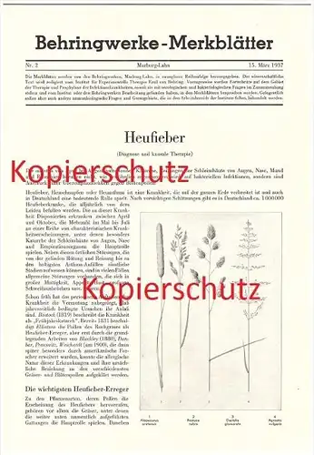 original Prospekt - 1937 - Heufieber , Therapie , Erreger , Behandlung , Behringwerke , Marburg a.d. Lahn !!!