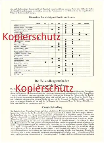 original Prospekt - 1937 - Heufieber , Therapie , Erreger , Behandlung , Behringwerke , Marburg a.d. Lahn !!!