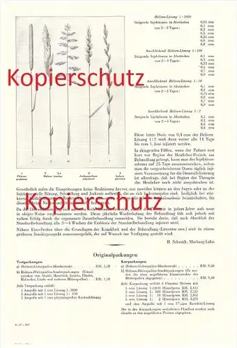 original Prospekt - 1937 - Heufieber , Therapie , Erreger , Behandlung , Behringwerke , Marburg a.d. Lahn !!!