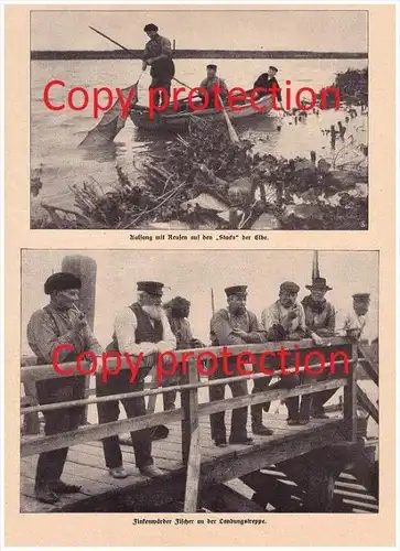 original Zeitungsbericht - 1911 -  Die Finkenwärder Fischer , Hamburg - Finkenwerder , Fischerei , Hochseefischen !!!