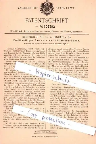 Original Patent - H. Jung jun. in Bingen a. Rh. , 1898 , Zweitheiliger Sammeleimer für Weintrauben !!!