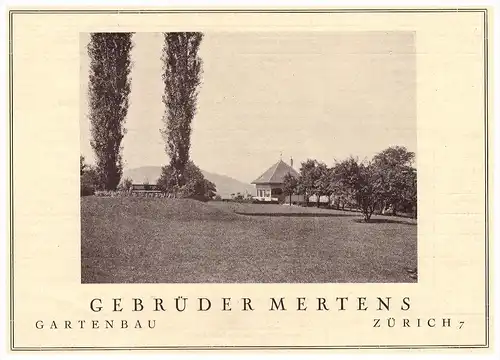 original Werbung - 1926 - Gebrüder Mertens in Zürich , Garten-Anlagen , Pflanzen , Gartenbau , Architektur !!!