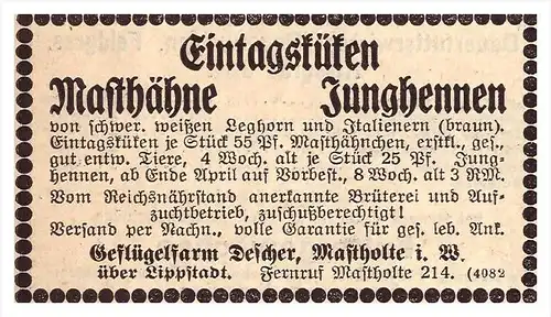 original Werbung - 1939 - Küken , Junghennen , Descher in Mastholte b. Lippstadt , Geflügel , Rietberg !!!