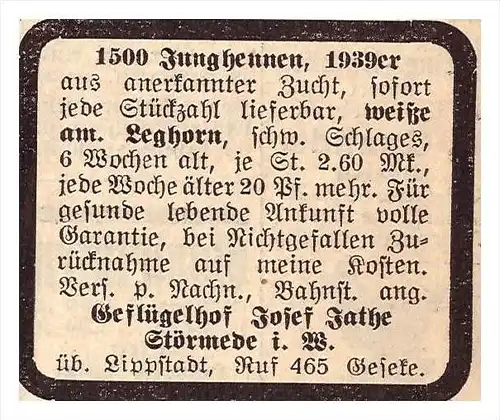 original Werbung - 1939 - Junghennen , Geflügelhof J. Jathe in Störmede b. Geseke , Lippstadt , Landwirtschaft !!!