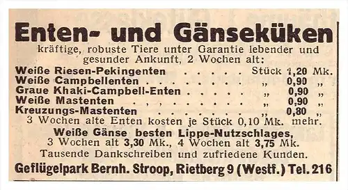 original Werbung - 1939 - Enten und Gänse , B. Stroop in Rietberg , Westfalen , Geflügel , Mast , Zucht !!!