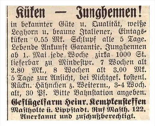 original Werbung - 1939 - Küken , Junghennen , H. Kempkensteffen in Mastholte b. Lippstadt , Geflügel , Rietberg !!!