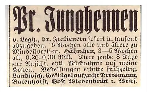 original Werbung - 1939 - Preussische Junghennen , Dreismann in Batenhorst b. Wiedenbrück , Geflügel , Riedberg