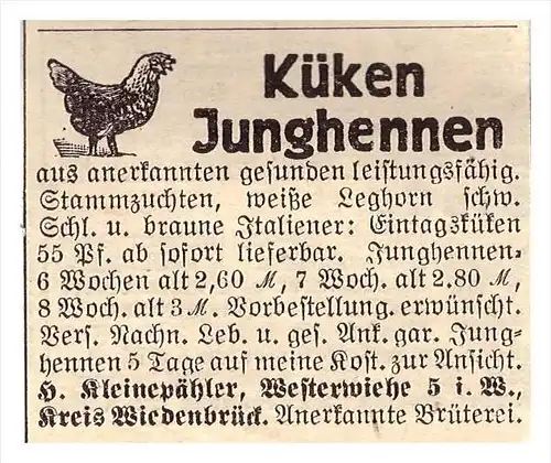 original Werbung - 1939 - Küken , Junghennen , H. Kleinepähler in Westerwiehe / Rietberg b. Wiedenbrück , Geflügel !!!