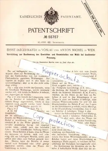 Original Patent  - E. Jaegermayer in Vöslau und A. Michel in Wien , 1890 , Instrument für Wolle !!!