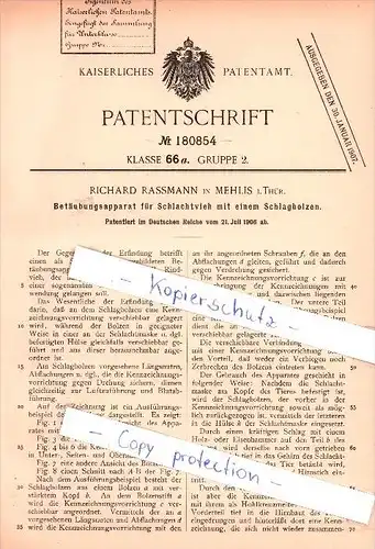 Original Patent  - Richard Rassmann in Mehlis i. Thür. , 1906 , Betäubungsapparat für Schlachtvieh , Zella-Mehlis !!!