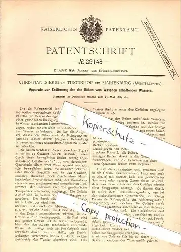Original Patent - Christian Sierig in Tiegenhof b. Marienburg , Westpreussen , 1884 , Rübenapparat , Nowy Dwór Gdanski !