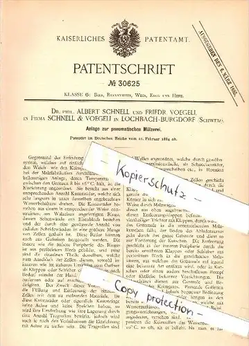 Original Patent - Dr. Albert Schnell und F. Voegeli in Lochbach-Burgdorf , 1884 , Anlage zur Mälzerei , Brauerei !!!