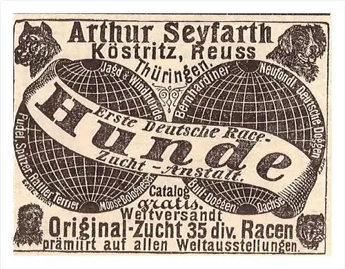 original Werbung - 1884 - Arthur Seyfarth in Köstritz i. Th. Hundezucht , Hunde , Zucht , Rassehunde , Windhunde !!!