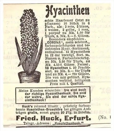 original Werbung - 1899 - Hyacinthen , Blumen , Friedrich Huck in Erfurt , Floristik !!