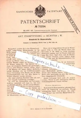 Original Patent - Ant. Zehnpfennig in Münster i. W. , 1892 , Bindedraht für Blumensträuße , Blumen , Floristik !!!