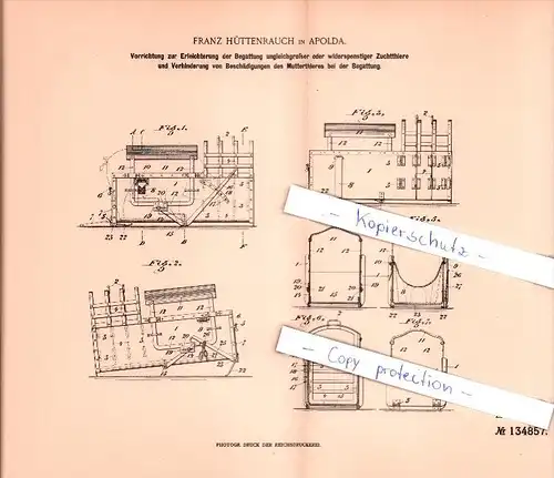 Original Patent  - Franz Hüttenrauch in Apolda , 1902 ,  Begattung von Zuchttieren , Tierzucht , Landwirtschaft !!!