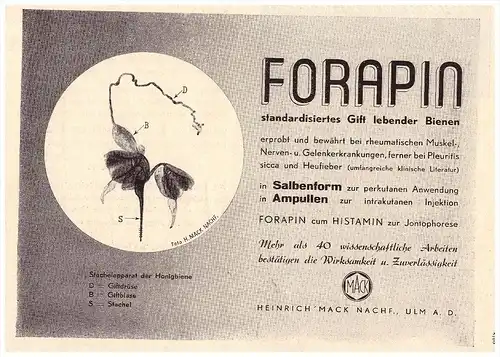 original Werbung - 1938 - FORAPIN , Gift von Bienen  H. Mack in Ulm a.D. , Imkerei ,  Arzt , Apotheke !!