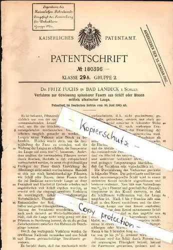 Original Patent - Dr. Fritz Fuchs in Bad Landeck i. Schlesien / Ladek Zdrój , 1905 , Gewinnung von Fasern aus Schilf !!!