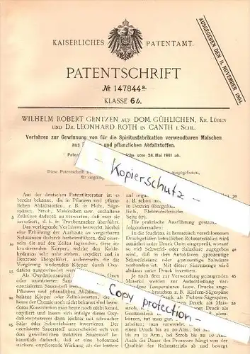 Original Patent - W. Gentzen auf Domäne Gühlichen / Lüben und Dr. L. Roth in Canth / Katy Wroclawskie , 1901 ,