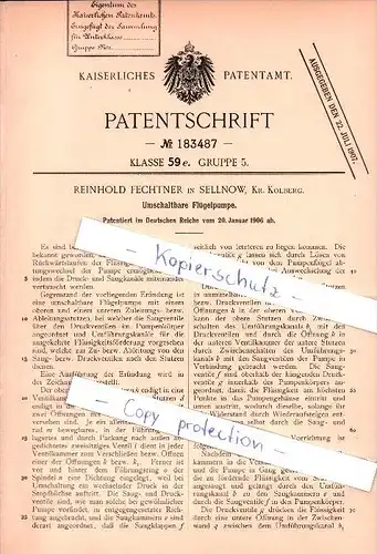 Original Patent - Reinhold Fechtner in Sellnow b. Arnswalde i. Pommern , 1906 , umschaltbare Flügelpumpe , Kolberg !!!