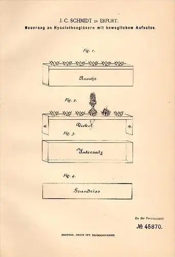 Original Patentschrift - J.C. Schmidt in Erfurt , 1888 , Gläser für Hyacinthen mit Aufsatz , Hyacinthe !!!